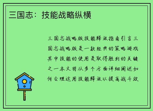 三国志:技能战略纵横